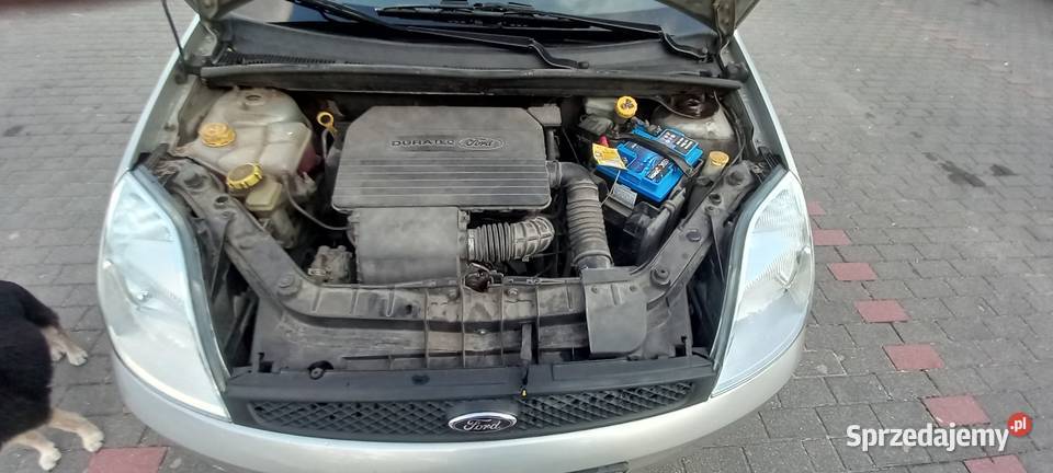 Ford Fiesta 1300 44 kW 60 Kat benzyna produkcji 1300cm3 Ostrów Mazowiecka