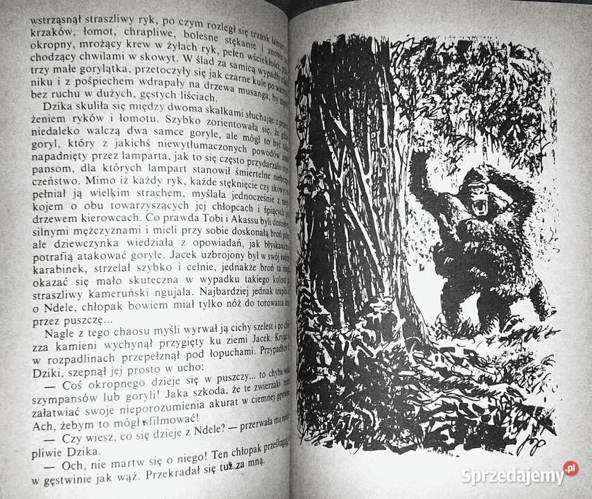 W puszczach i sawannach Kamerunu Kamil Giżycki miękka Chełm