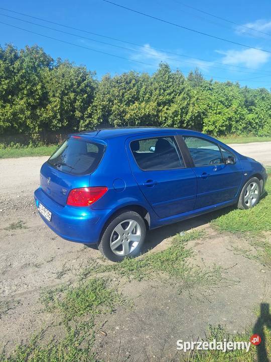 PEUGEOT 307 20hdi 140 AUTOMAT 2006r automatyczna Zduńska Wola