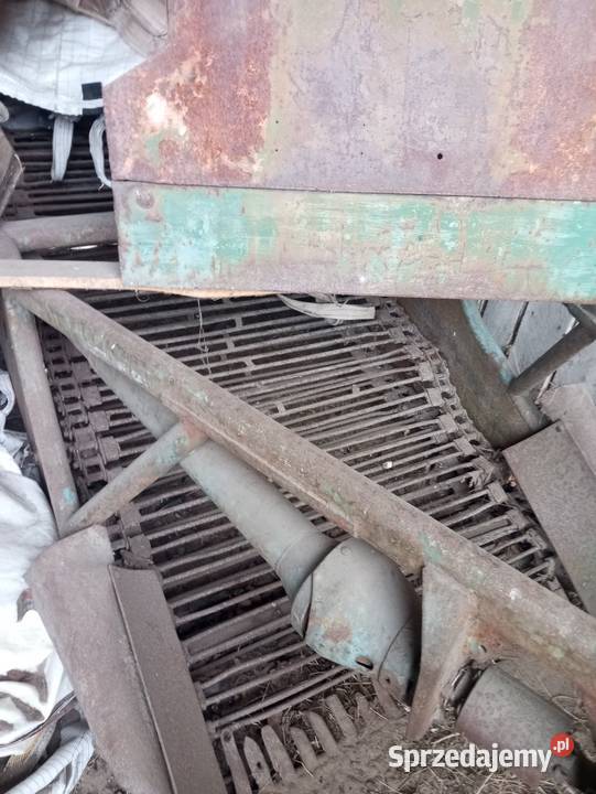 Kopaczka nieuszkodzony Marchocice