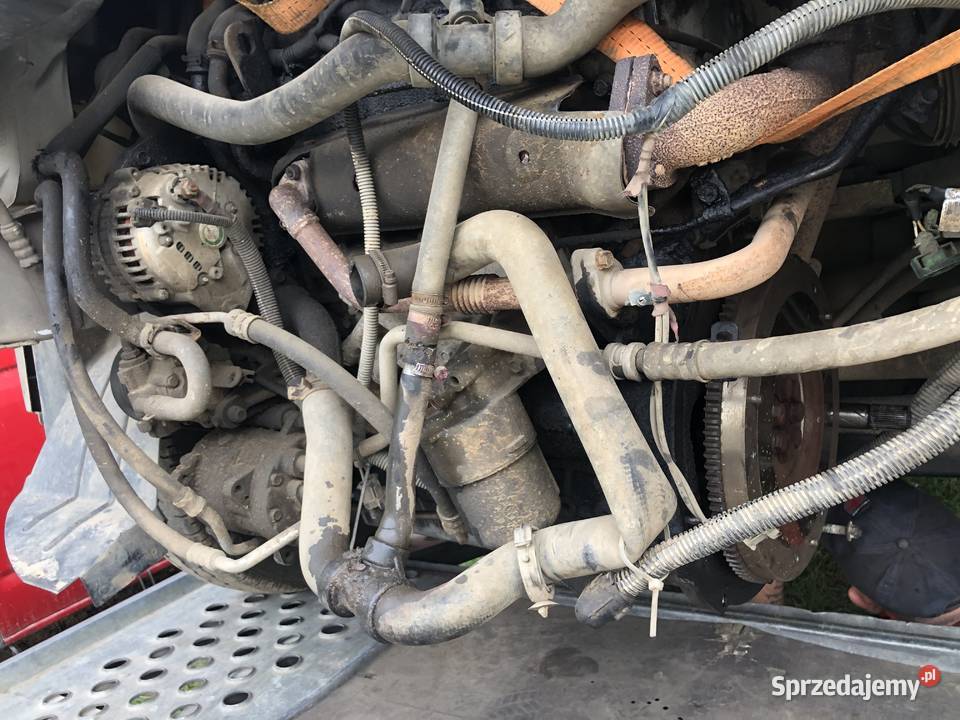 Części Opel Movano 30D Zbuczyn