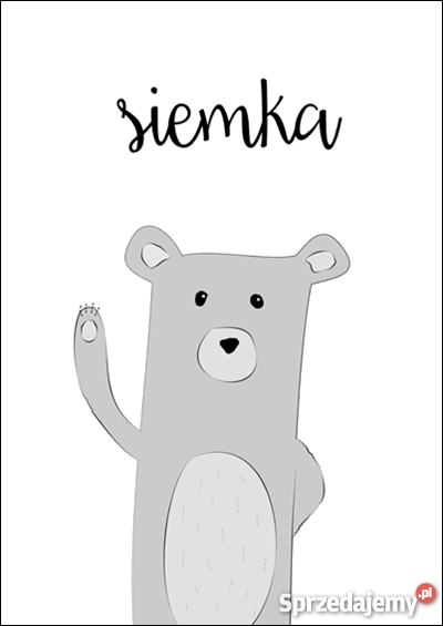 Przedszkole Misiowo Łódź czesne 450 łódzkie Łódź opieka