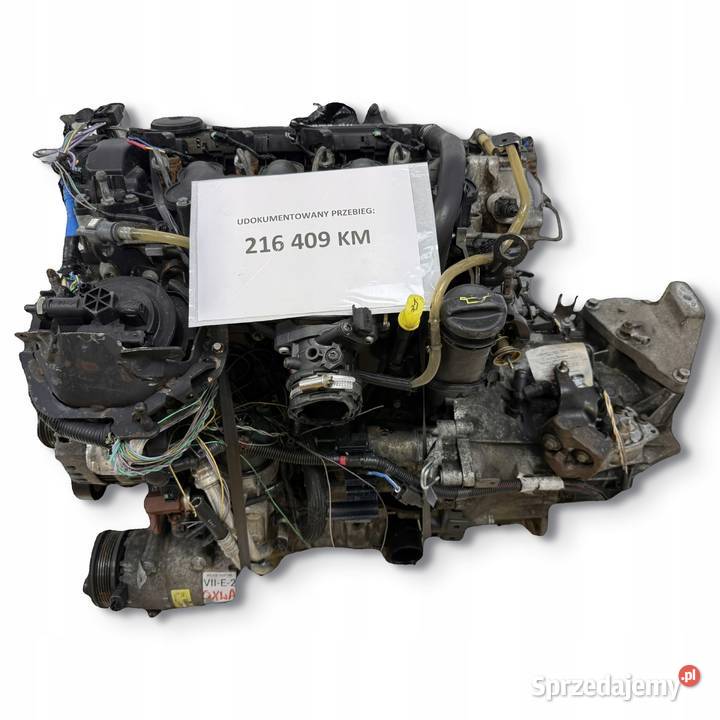 SILNIK G6DD Ford C C Focus MK2 20 TDCI 136 Motoryzacja Chełm