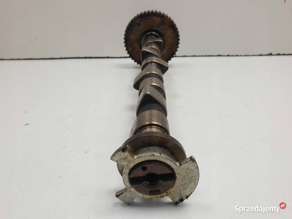 WAŁEK ROZRZĄDU Fiat 500 12 8V koło faz WARIATOR osobowe lubelskie Chełm