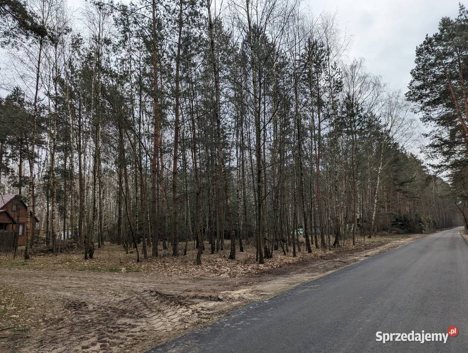 Działka budowlana Łodzi w sercu lasu Dobków