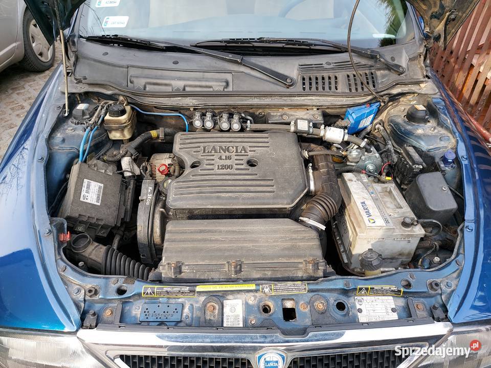 Lancia Y Ypsilon Punto 12 LX 86 LPG Starogard Gdański