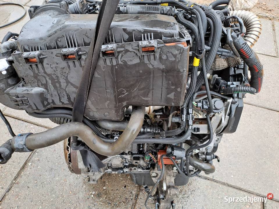 Citroen Peugeot 16HDi silnik kompletny kod 9HX Jastrzębie-Zdrój sprzedam