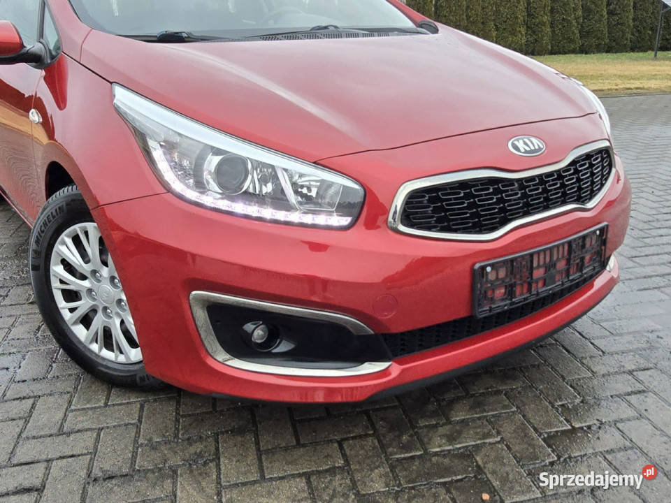 Kia Ceed 16crdi bordowy Kutno