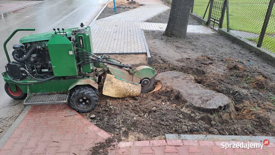 Frezowanie Pni Karp Karczowanie Usuwanie Pni Karczowanie i usuwanie drzew Mińsk Mazowiecki ogród