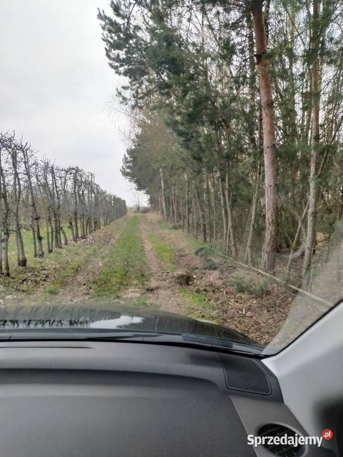 Działka Rolna Goszczyn powgrójecki