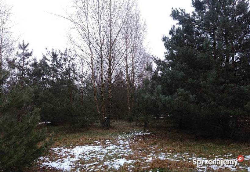 Działka z warunkami zabudowyOsuchów Osuchów sprzedam