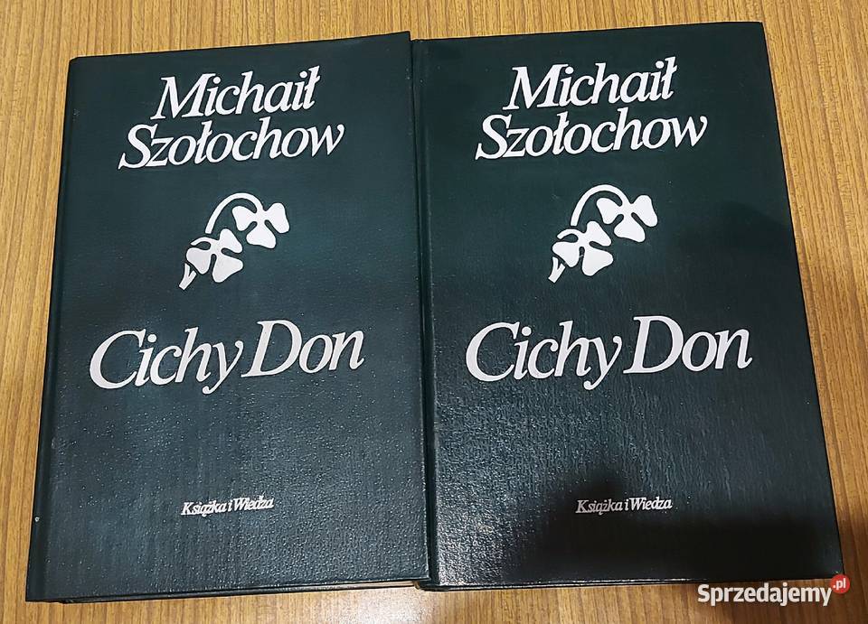 Literatura piękna Ostróda