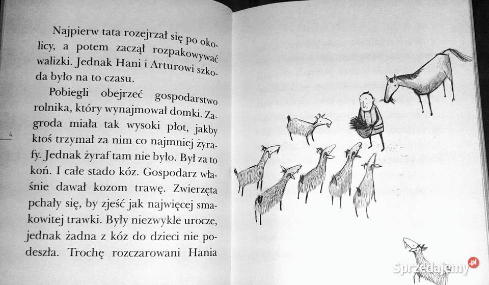 Pułapka na ktosia Ewa Nowak Joanna Rusinek Chełm