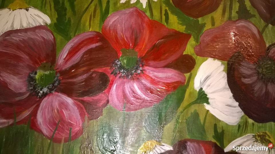 Łąka z makami akryl na płótnie dolnośląskie Oleśnica