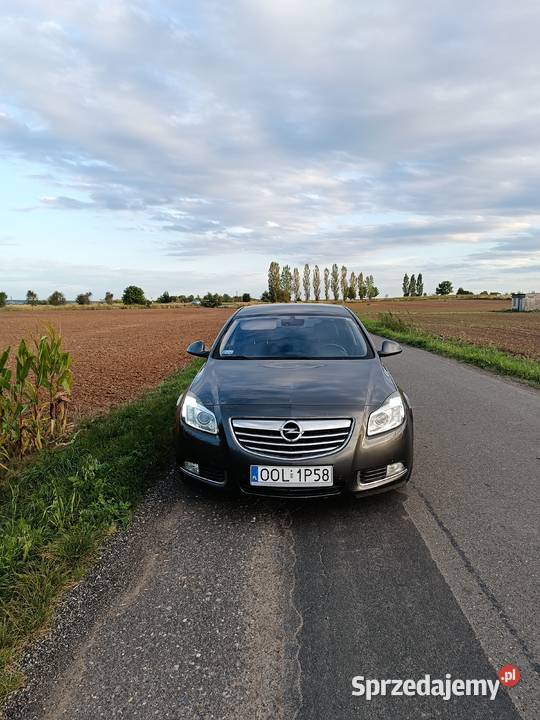 Opel Insignia 20 CDTi opolskie