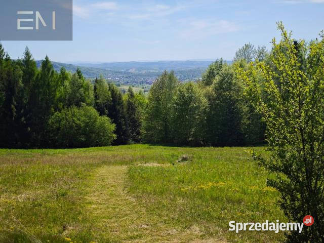 sprzedaży gruntu Lutcza 7000m2
