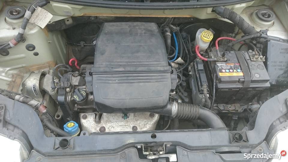 Fiat Panda 11 Active poduszka powietrzna Poznań