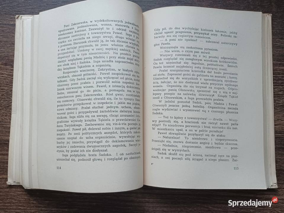 Grabski Władysław J W cieniu kolegiaty 1949 sprzedam