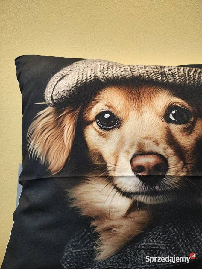 Poszewka na poduszkę Łódź sprzedam