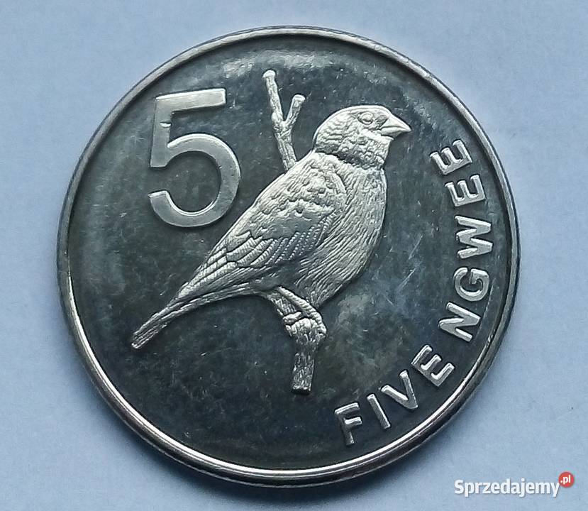 ZAMBIA5 NGWEE2012 r PTAKŁADNA Numizmatyka Legionowo