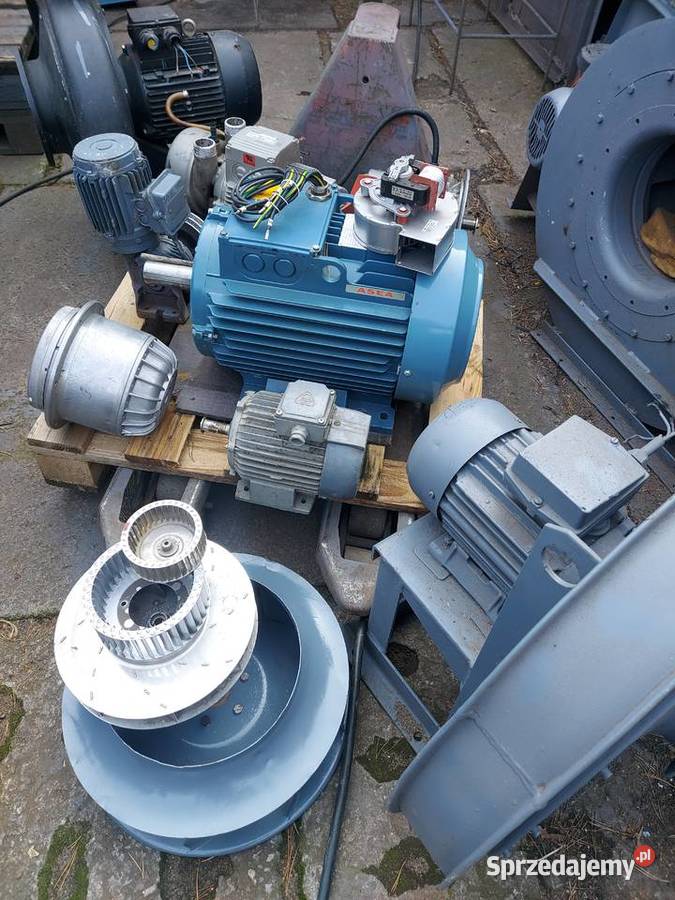 dłutownica pionowa Toruń