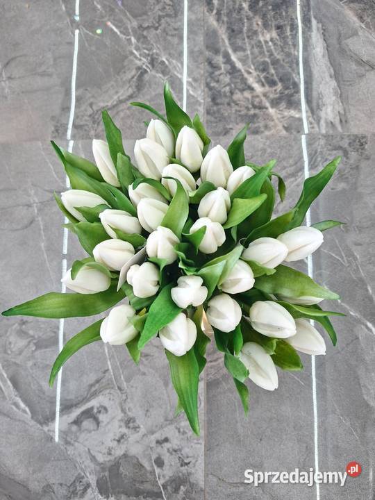 Tulipany silikonowe białe realistyczny wygląd 27 sprzedam