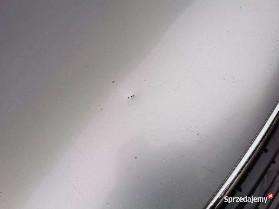 Maska Pokrywa Silnika Atrapa Grill Audi A4 B6 mazowieckie Wyszków sprzedam