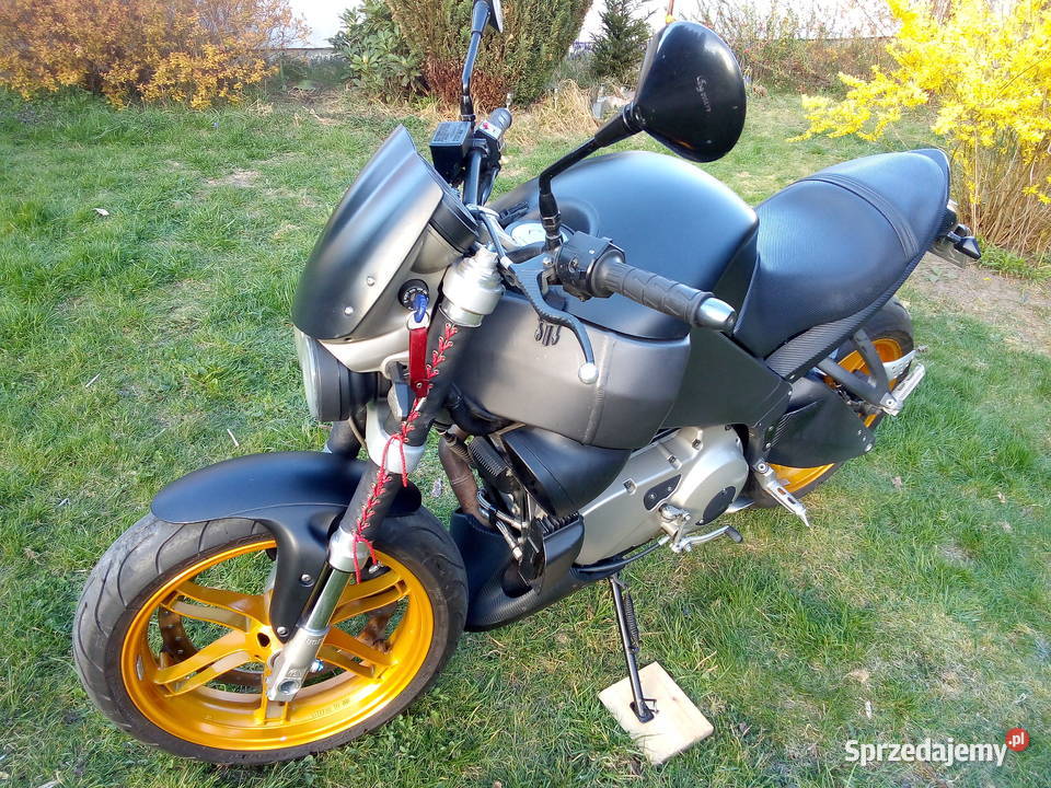 Buell xb12s lightning harley davidson sportster Rok produkcji 2004