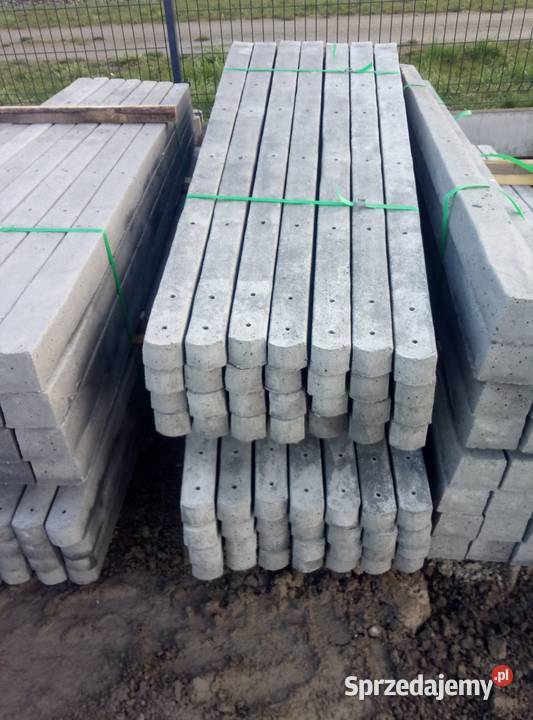 Słupek betonowy do siatki leśnej Strzyżów