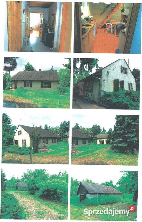 12 w nieruchomości Chodorążek