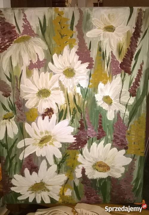 Obraz akryl Łąka dolnośląskie Oleśnica