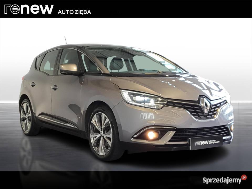 Scenic 12 TCe Energy Zen 130 światła przeciwmgielne