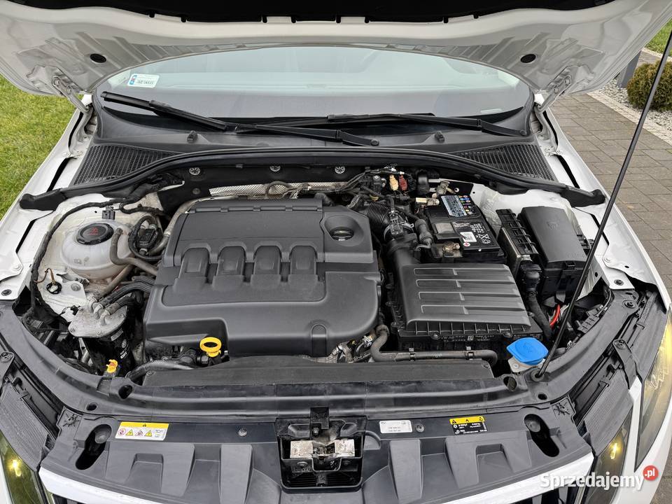 Salon Pierwszy wł 100 Bezwypadkowy F vat 23 Staroźreby