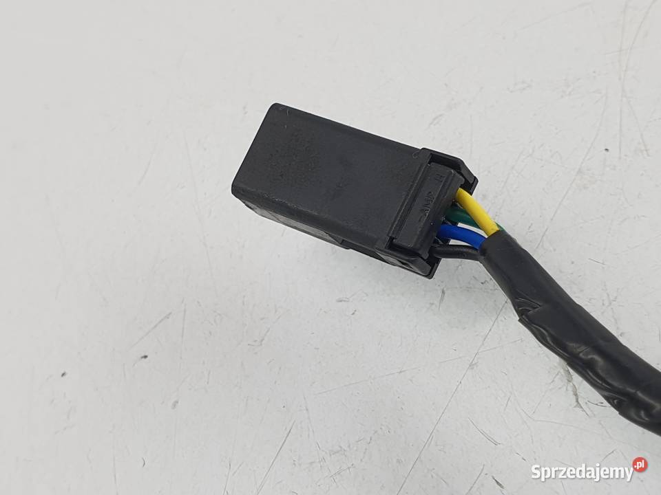 Kosrtka Wtyczka Wiazka Instalacja Triumph Speed Łódź