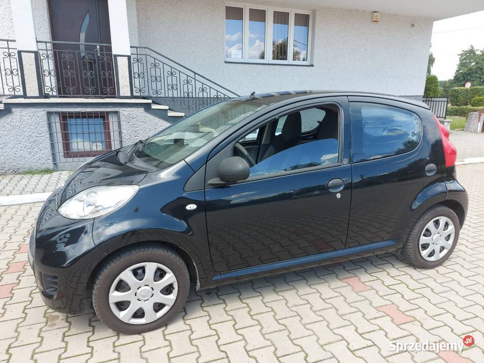 Peugeot 10 Wspomaganie Pszczyna