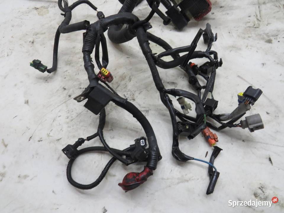 WIĄZKA SILNIKA QASHQAI J10 15 DCI 24011BR02A lubelskie