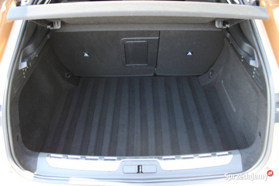 DS DS 4 2021r Fv23 Kamera FullLED Kamera HeadUP Rok produkcji 2021 śląskie Bielsko-Biała