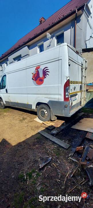 Fiat Ducato 23 120 multijet Oleśnica