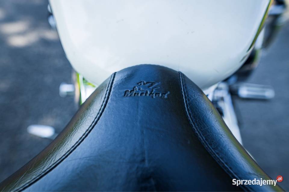 Yamaha Drag Star 1100 Custom wydech cobra biały warmińsko-mazurskie Susz