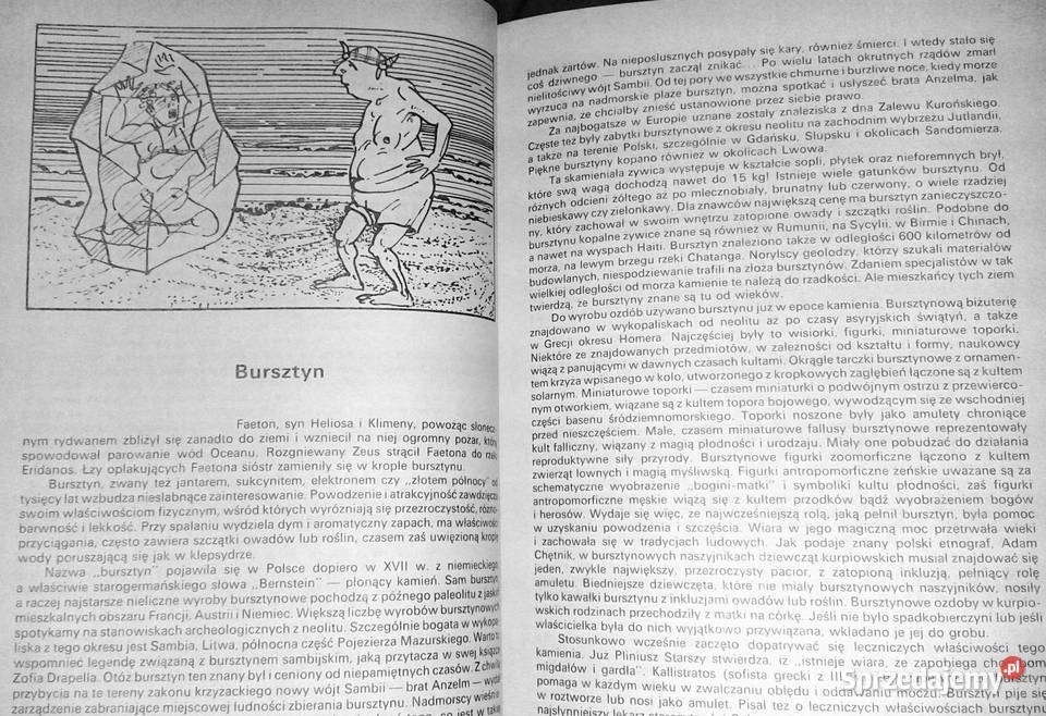 W encyklopediach nie znajdziecie Ewa Sabelanka miękka Chełm