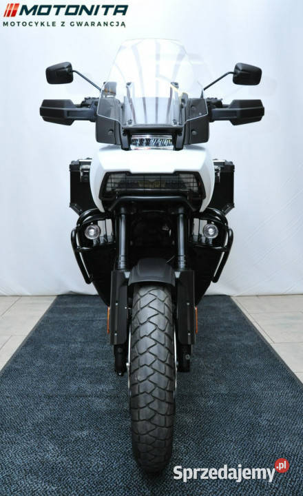 HarleyDavidson Nightster HarleyDavidson Pan Podkowa Leśna