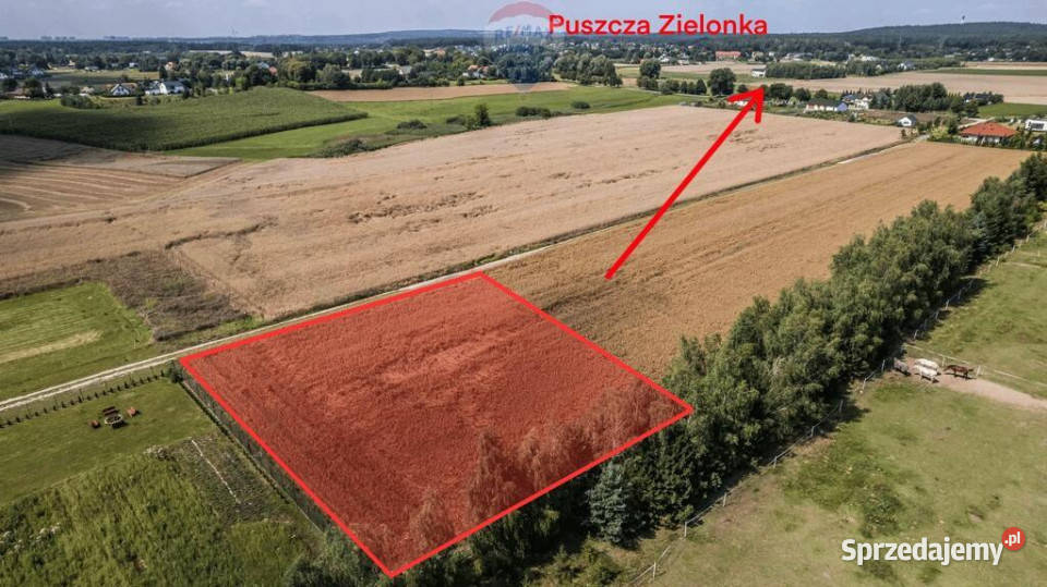 Kicin kPoznania3007 m idealna pod dom Sprzedaż wielkopolskie
