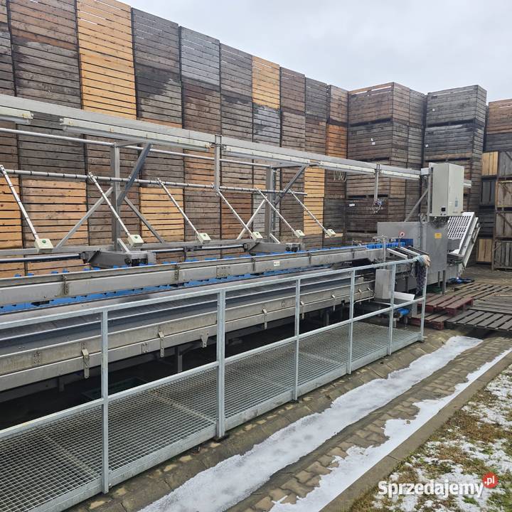 Linia do segregacji i mycia warzyw cebuli itd Nysa sprzedam