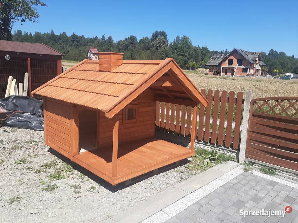 Buda psa BOLO Jordanów sprzedam