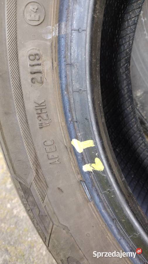 Opony zimowe Barum Polaris 5 1556514 Samochodowe małopolskie