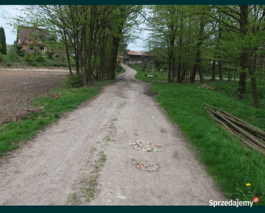 Sprzedam dom murowany siedlisko Olchowiec blacha