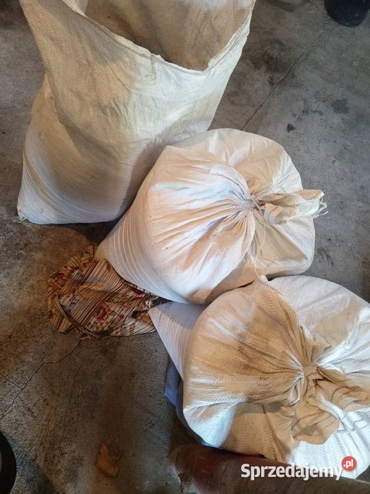 Owies 150 Chełmża sprzedam