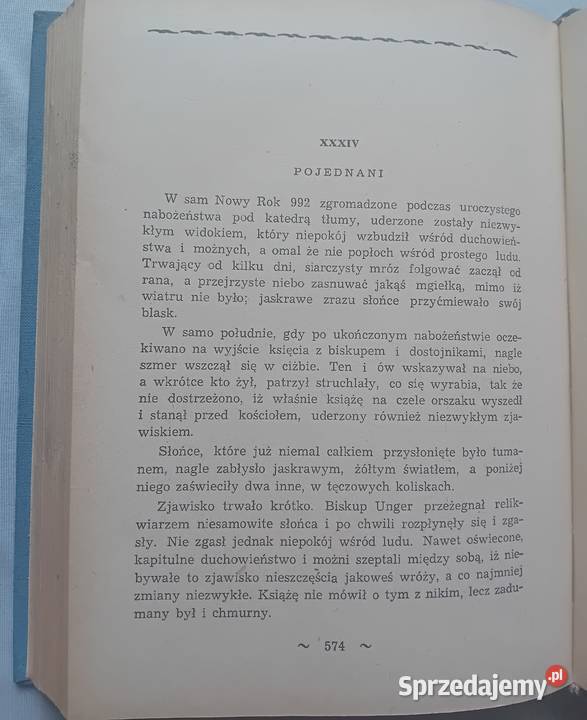 Karol Bunsch Ojcie c i syn 2 tomy w 1 Wydawn wielkopolskie Koźminek