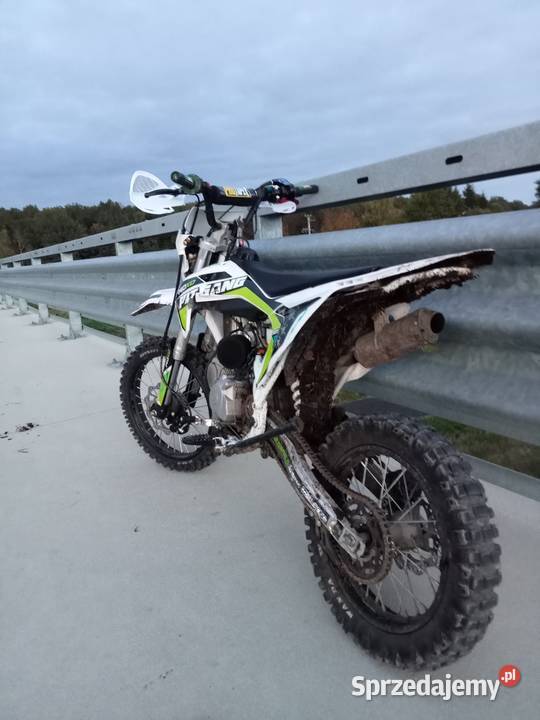 Pit gang 140xd 2024r mrfkayoasix