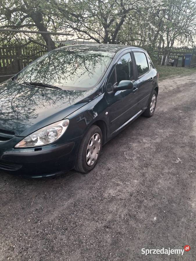 Sprzedam Peugeot 307 16 nieuszkodzony wielkopolskie Szczytniki